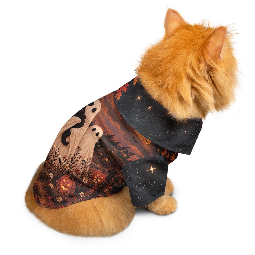 Black Cats and Ghost Halloween Night -  - 2