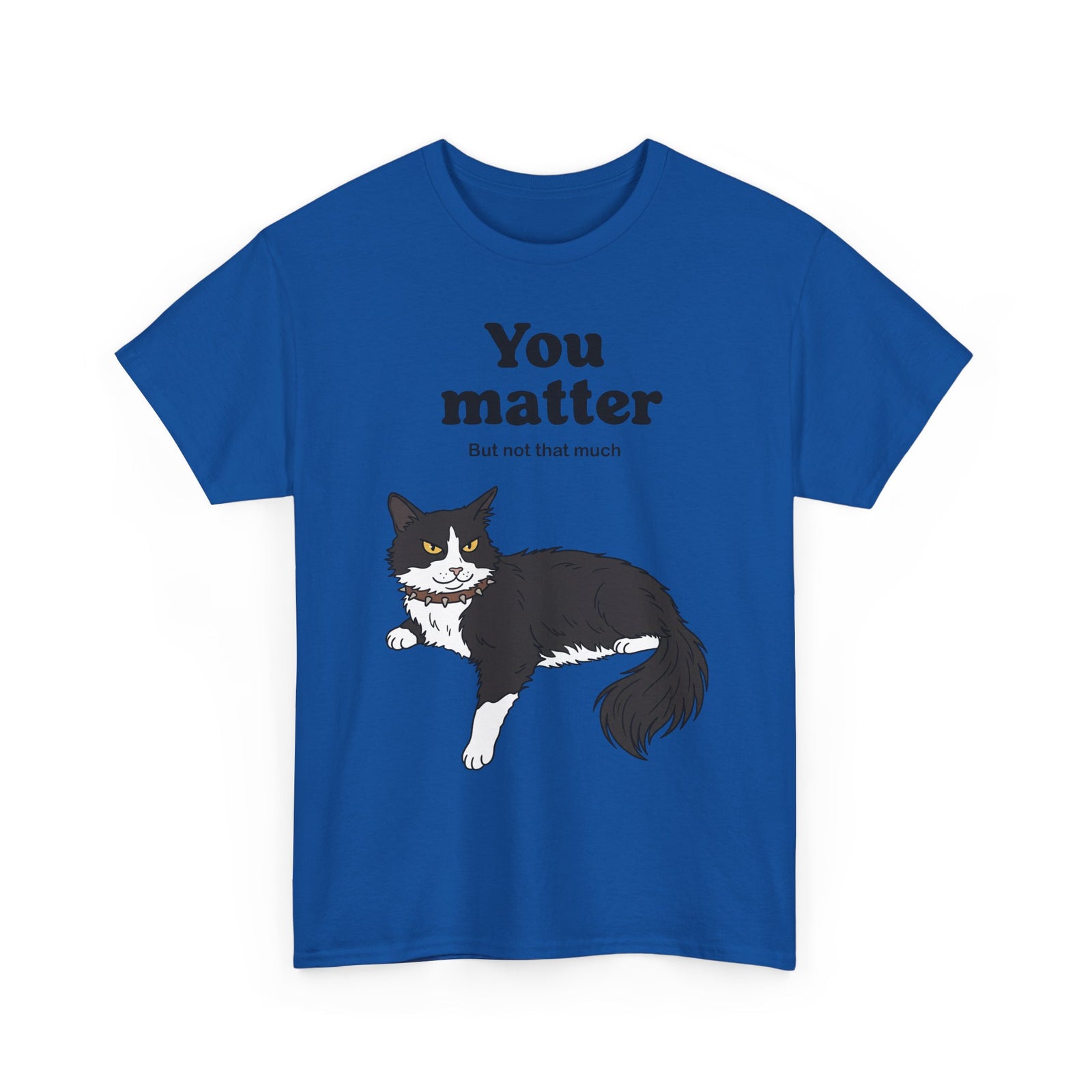 You Matter But Not That Much T-Shirt — Funny Sarcastic Tuxedo Cat Graphic Tee