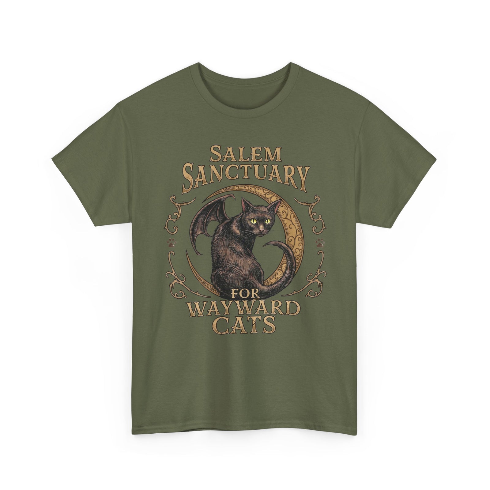 Salem Sanctuary For Wayward Cats T-Shirt — Winged Black Cat Gothic Tee