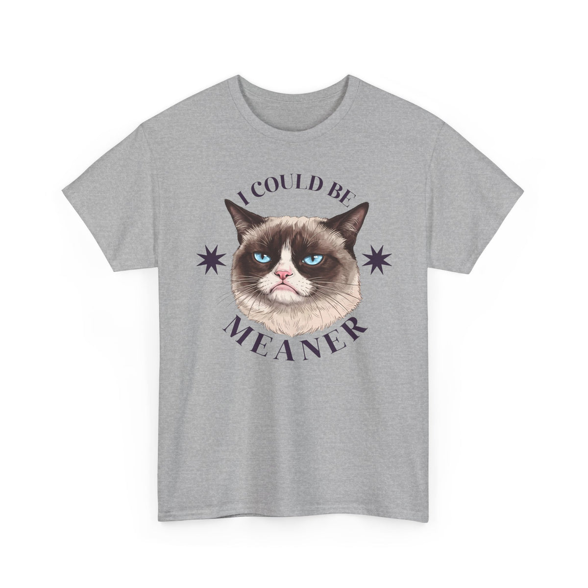 I Could Be Meaner T-Shirt — Funny Grumpy Cat Graphic Tee