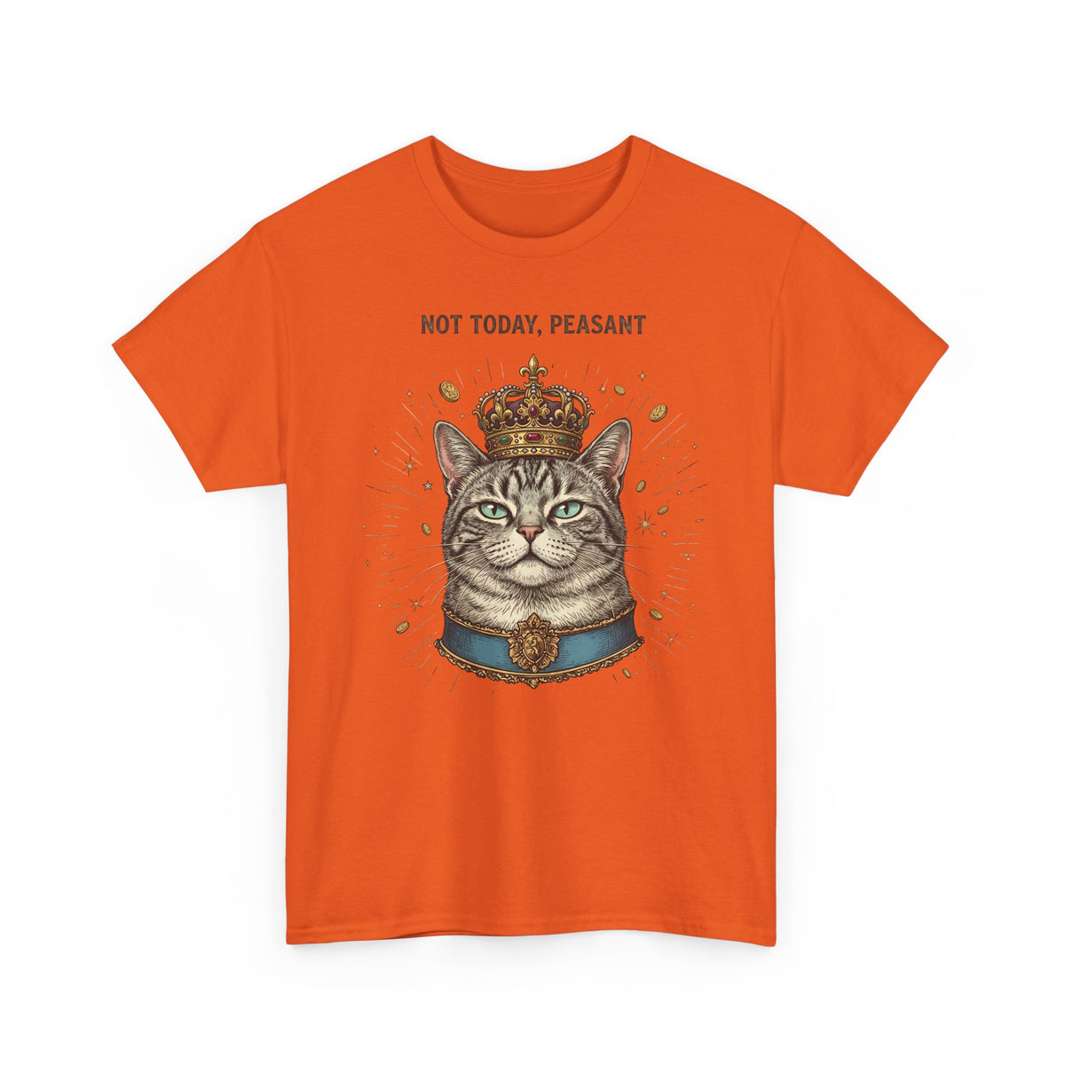 Funny Cat T-Shirt — "Not Today" Graphic Tee