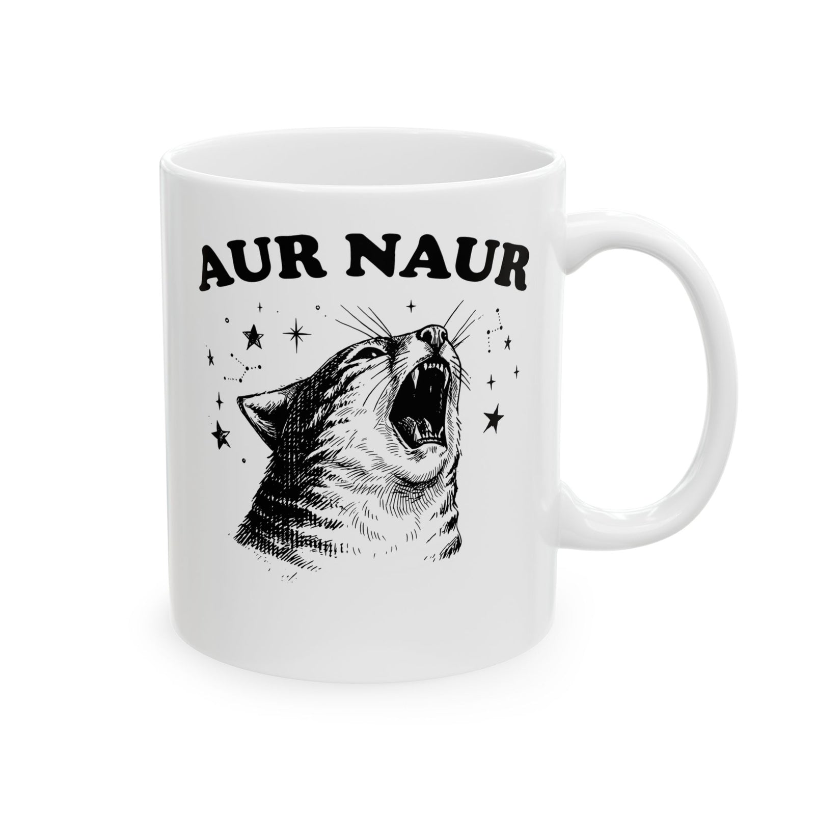 Aur Naur Funny Cat Ceramic Mug — Cute Funny Cat Mug