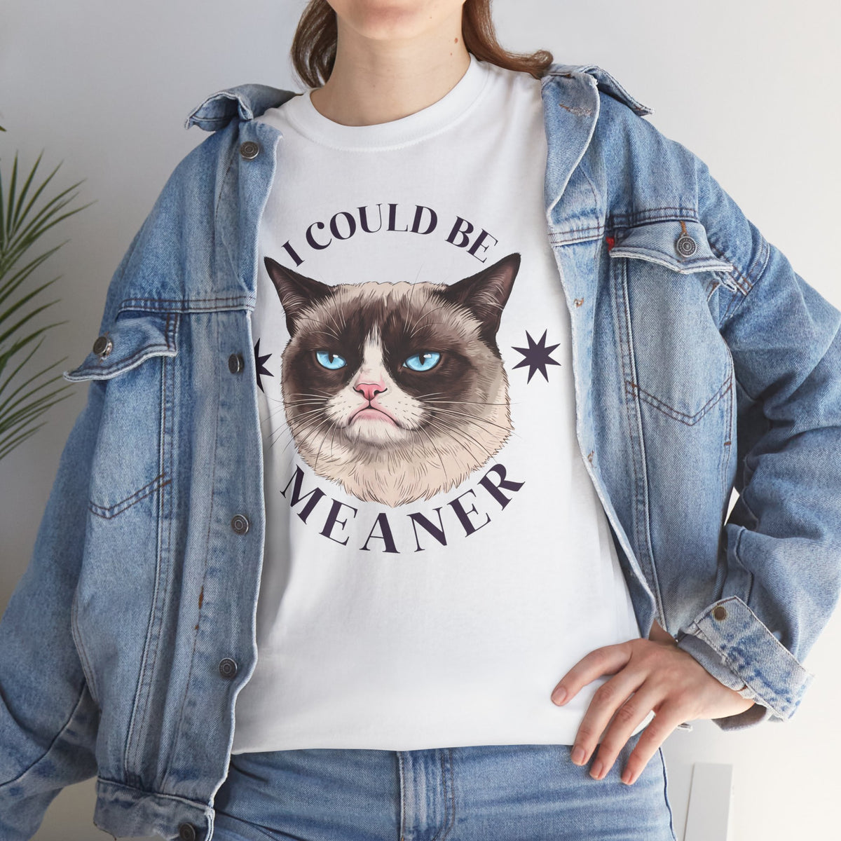 I Could Be Meaner T-Shirt — Funny Grumpy Cat Graphic Tee
