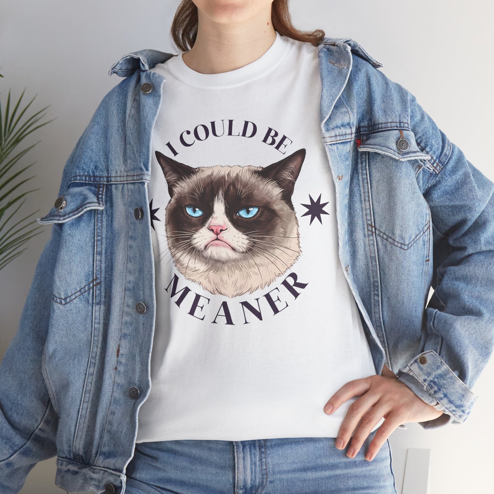 I Could Be Meaner T-Shirt — Funny Grumpy Cat Graphic Tee