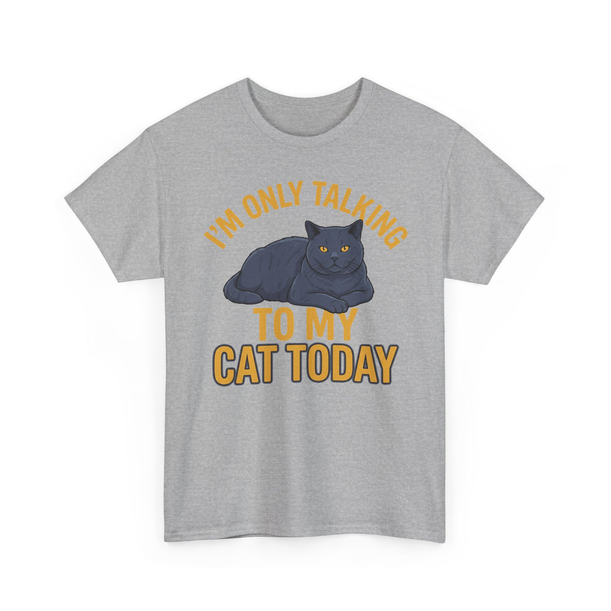 I'm Only Talking To My Cat Today T-Shirt