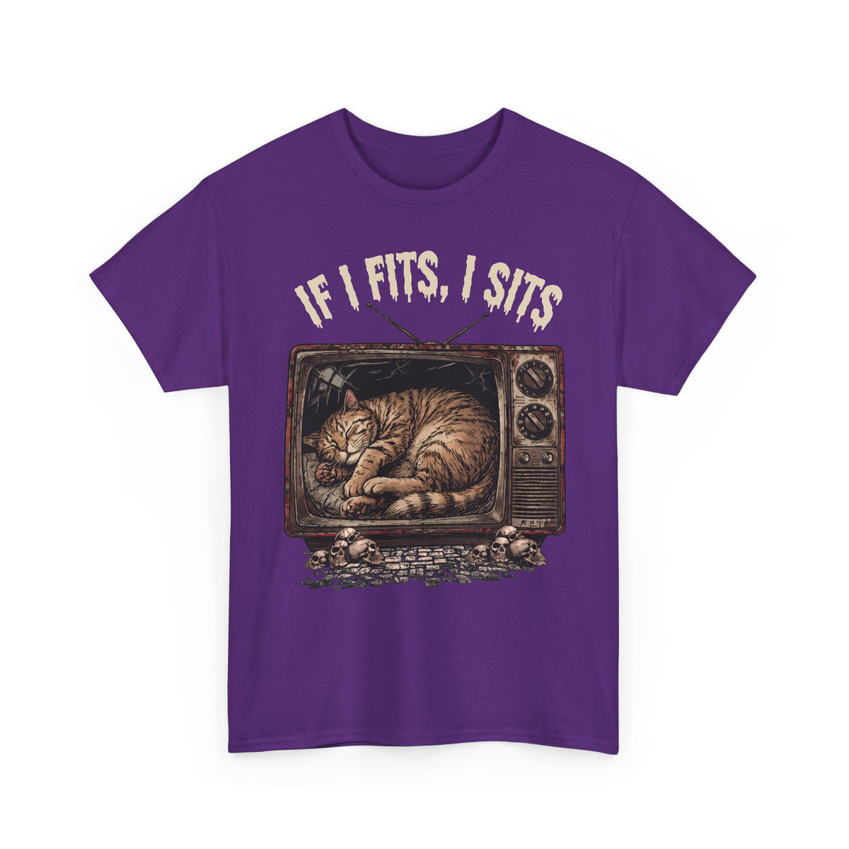 If I Fits I Sits Vintage TV Tabby Cat Shirt — Macabre Horror Meme T-Shirt