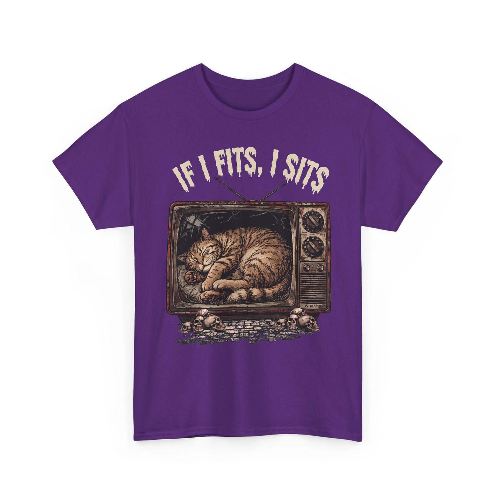 If I Fits I Sits Vintage TV Tabby Cat Shirt — Macabre Horror Meme T-Shirt