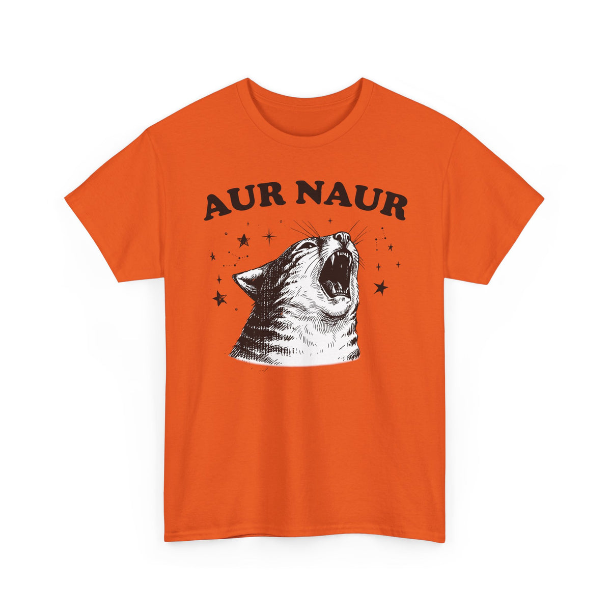 Aur Naur Funny Cat T-Shirt — Cute Funny Cat Tee