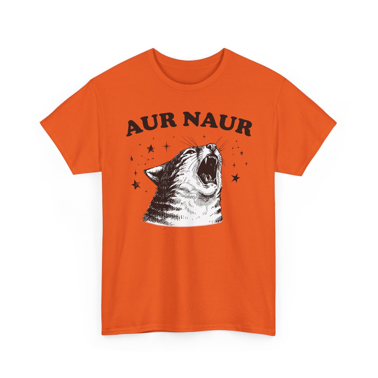Aur Naur Funny Cat T-Shirt — Cute Funny Cat Tee