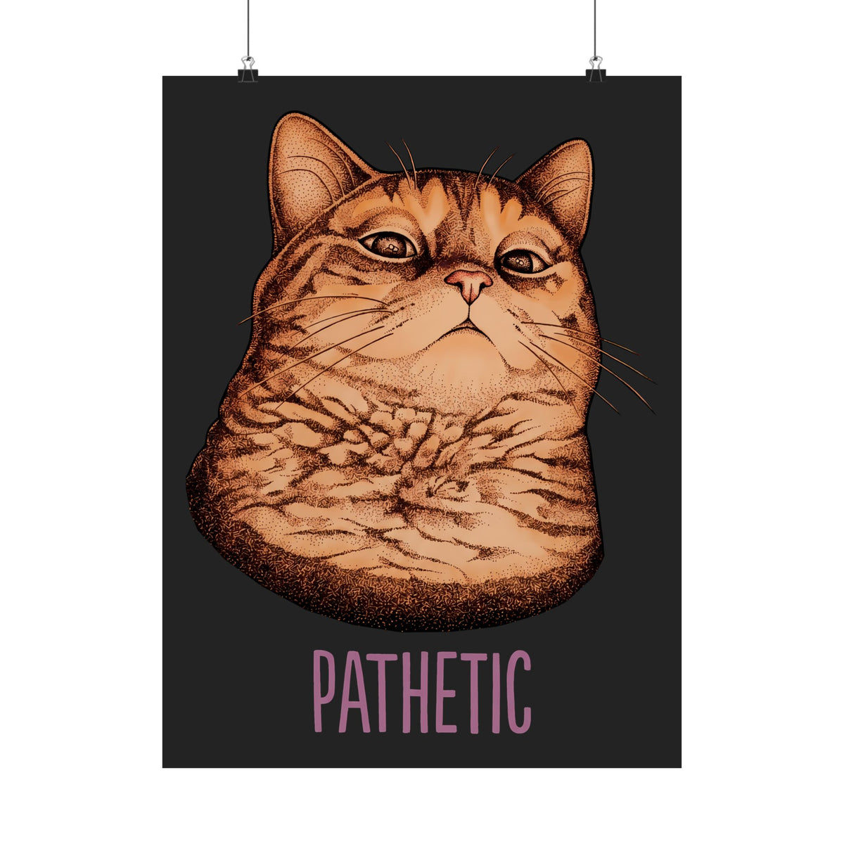 Pathetic Judgmental Cat Poster — Funny Orange Tabby Meme Graphic Poster