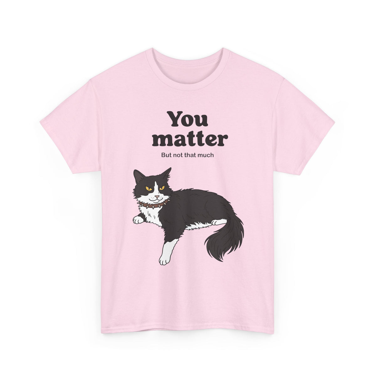 You Matter But Not That Much T-Shirt — Funny Sarcastic Tuxedo Cat Graphic Tee