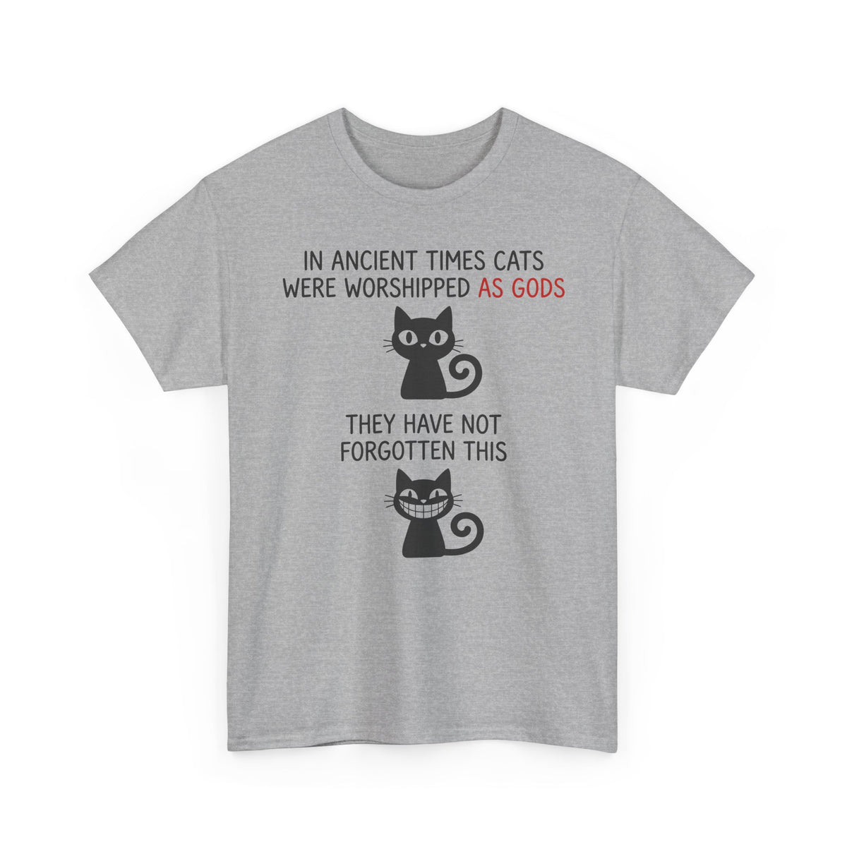 Cat Gods T-Shirt — "In Ancient Times Cats Were Worshipped As Gods" Funny Cat Tee