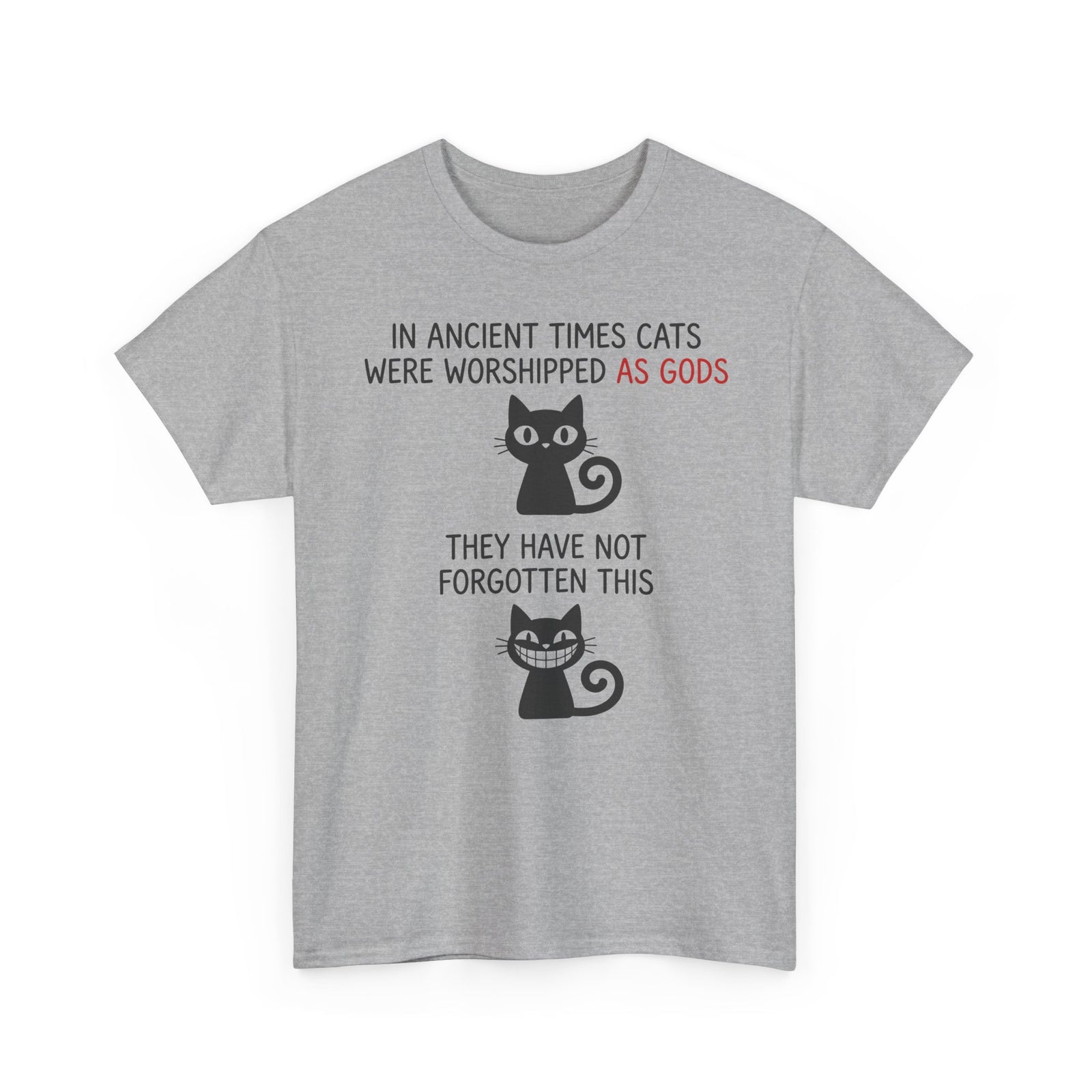 Cat Gods T-Shirt — "In Ancient Times Cats Were Worshipped As Gods" Funny Cat Tee