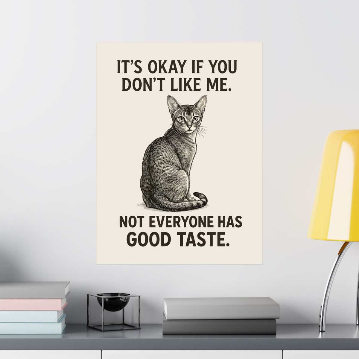 Sassy Cat 'It's Okay If You Don't Like Me' Poster