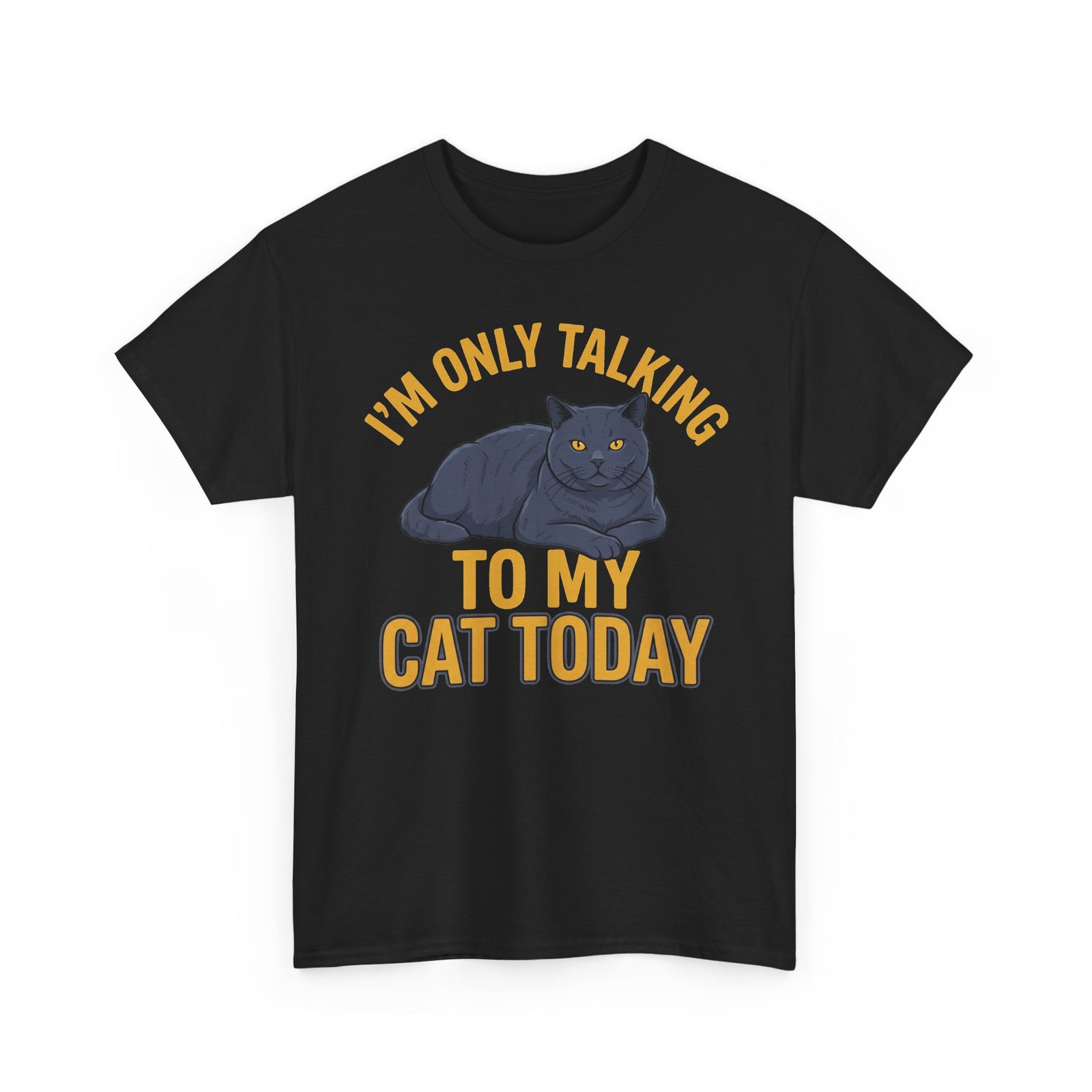 I'm Only Talking To My Cat Today T-Shirt