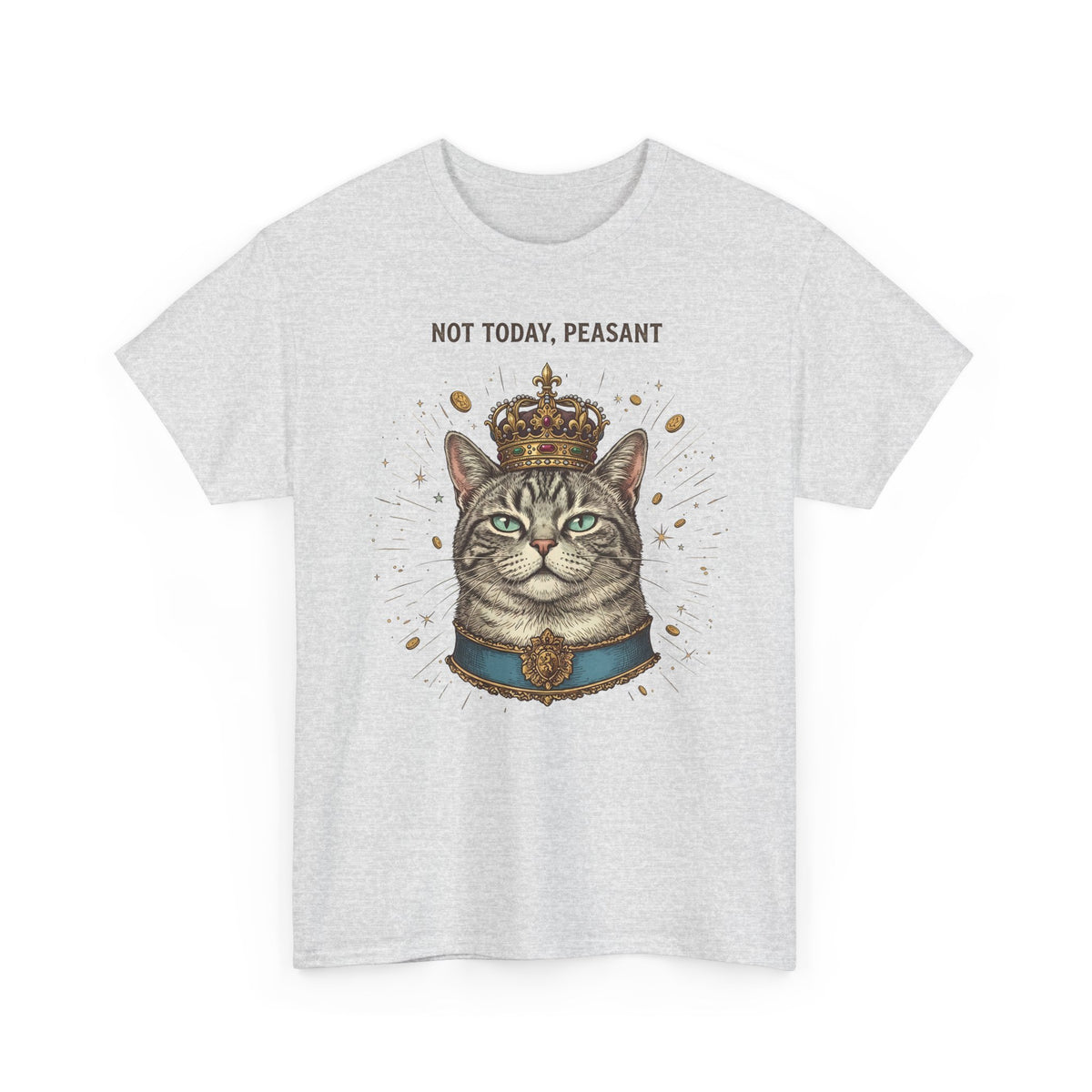 Funny Cat T-Shirt — "Not Today" Graphic Tee