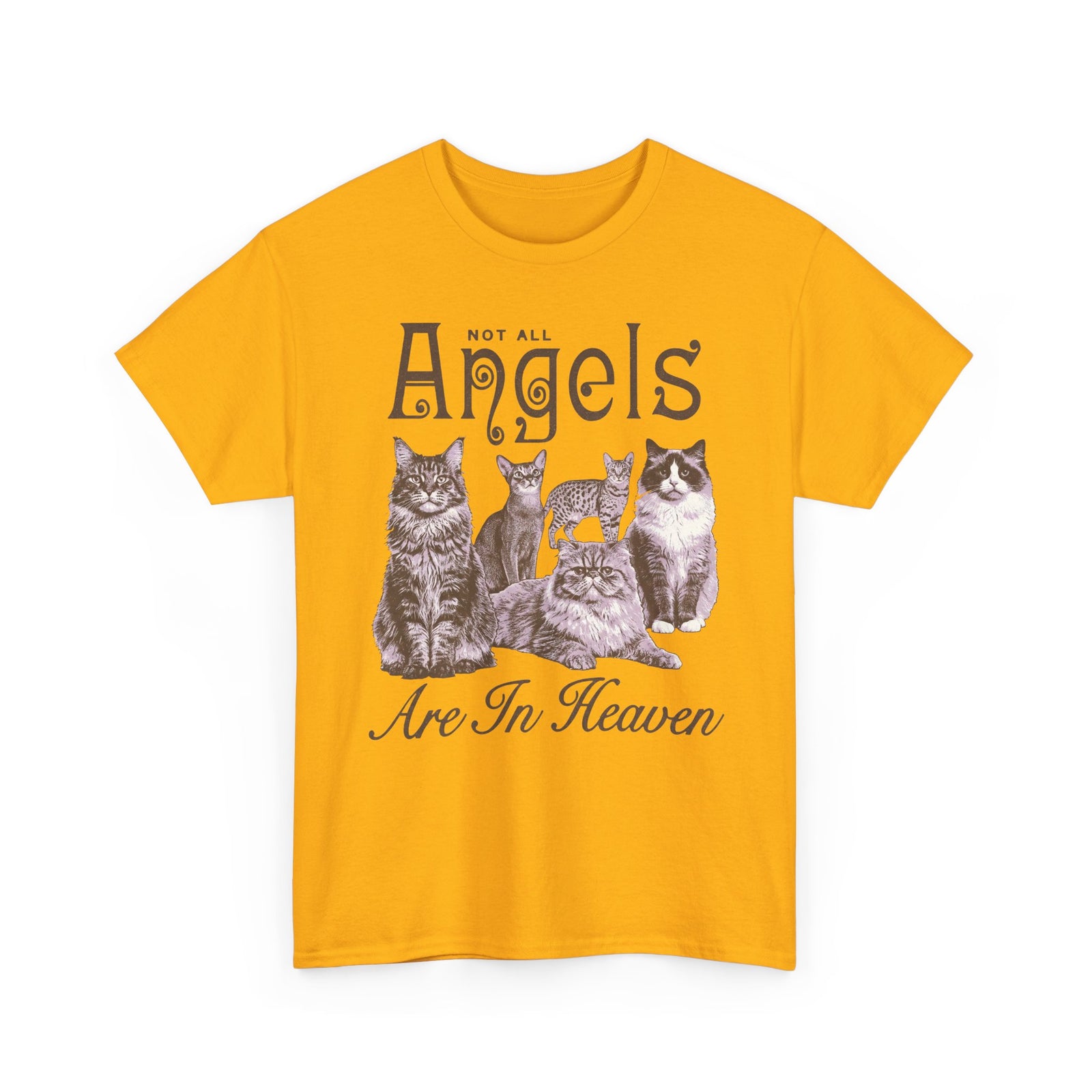 Not All Angels Are In Heaven T-Shirt — Cat Lovers Memorial Tee