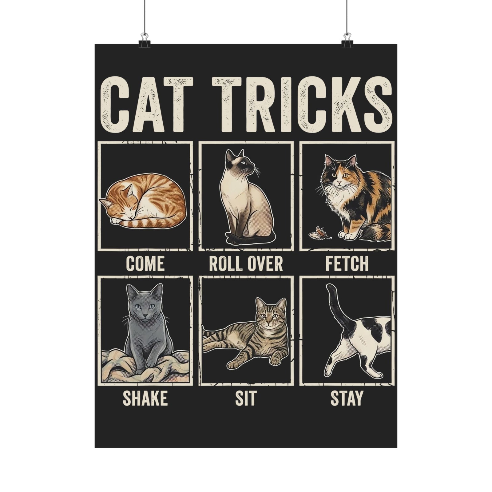 Funny Cat Tricks Poster — Cute Cat Humor Poster
