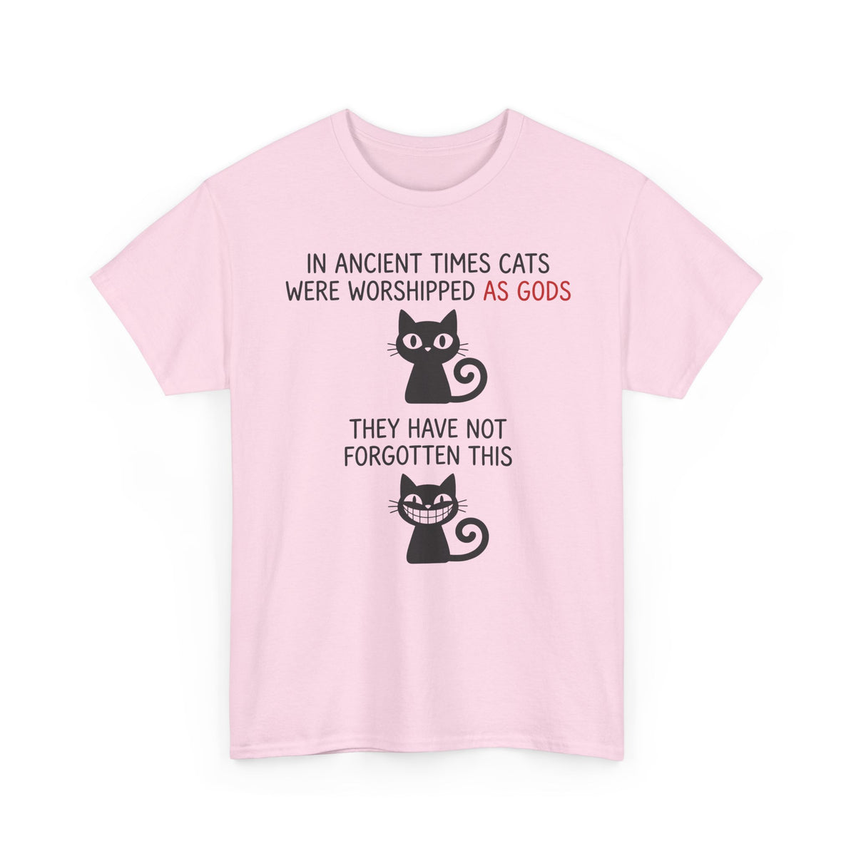 Cat Gods T-Shirt — "In Ancient Times Cats Were Worshipped As Gods" Funny Cat Tee
