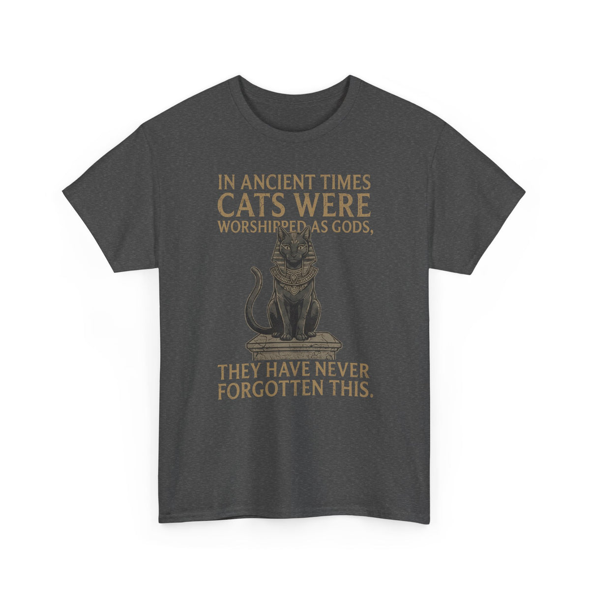 In Ancient Times Cats Were Worshipped Gods T-Shirt