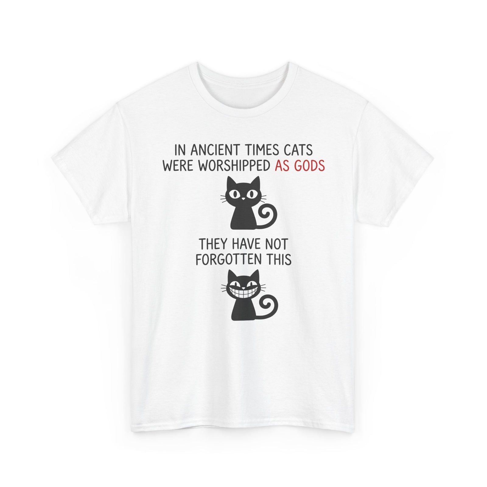 Cat Gods T-Shirt — "In Ancient Times Cats Were Worshipped As Gods" Funny Cat Tee