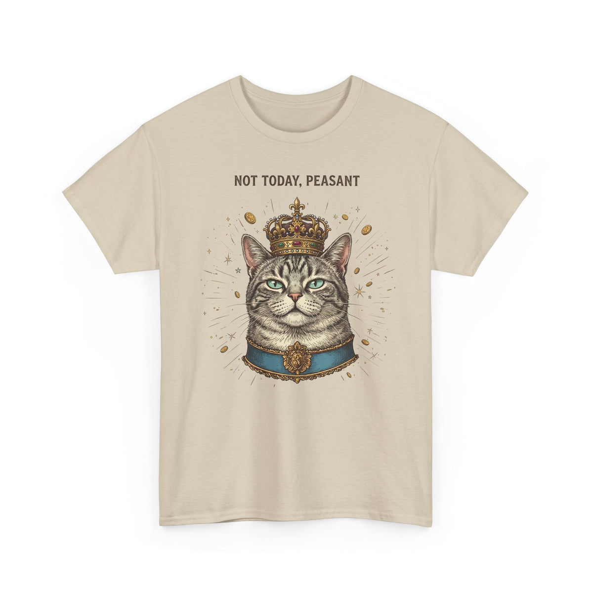 Funny Cat T-Shirt — "Not Today" Graphic Tee