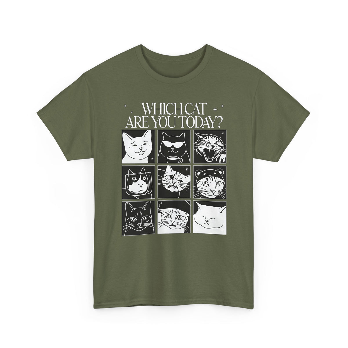 Which Cat You Choose Today T-Shirt — Playful Cat Lover Graphic Tee