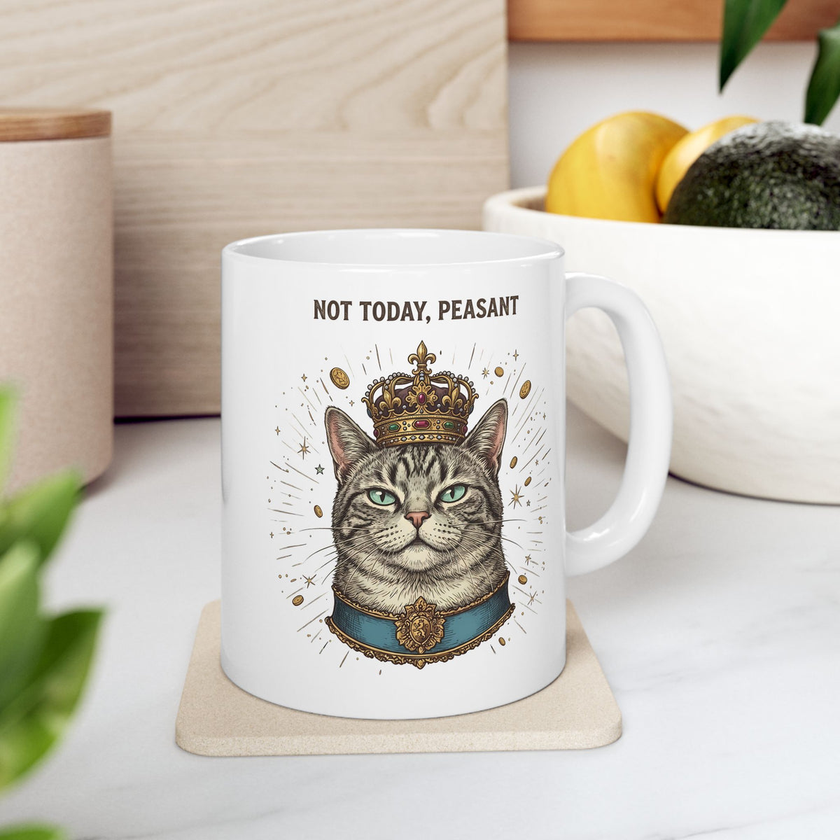Funny Cat Ceramic Mug — "Not Today" Graphic Mug