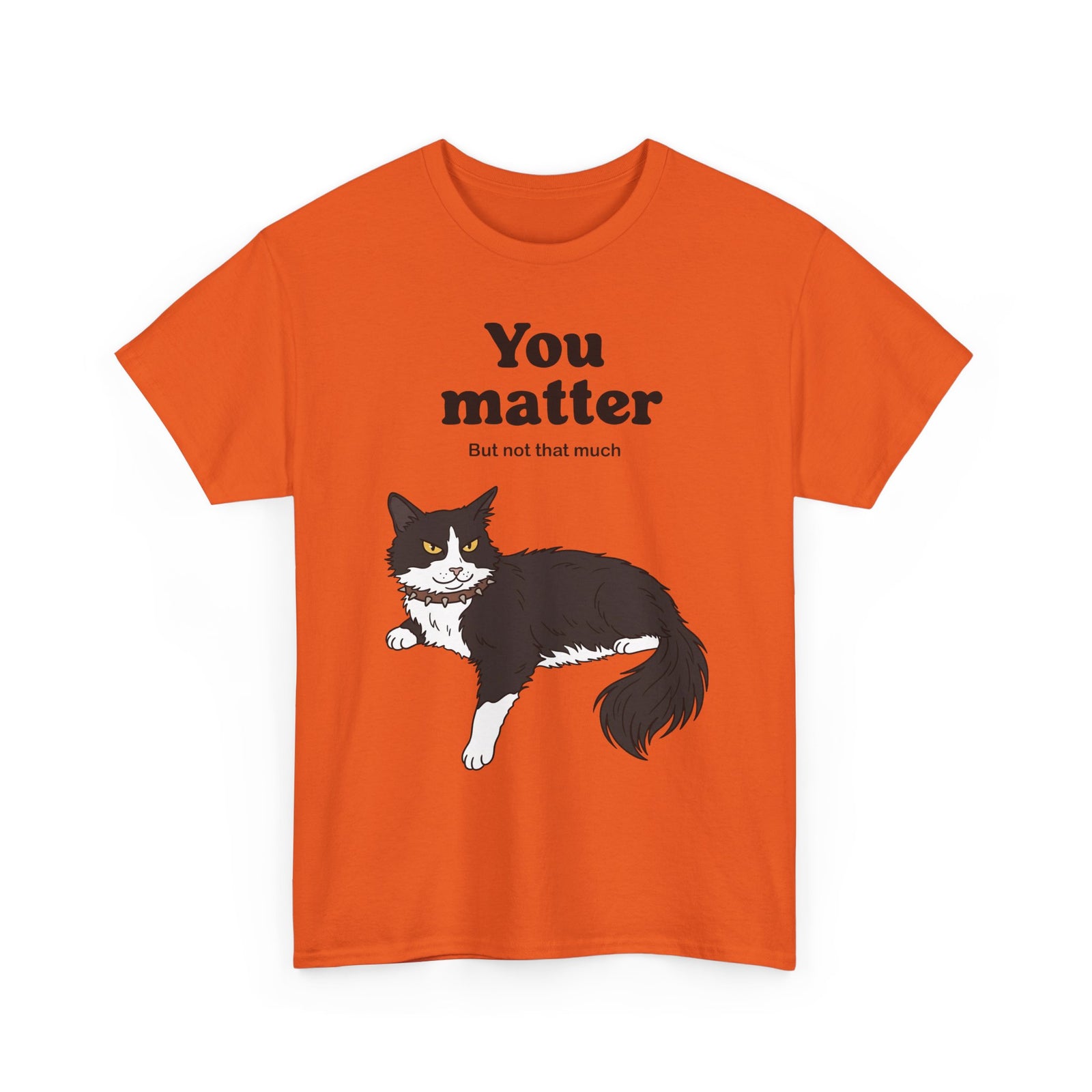 You Matter But Not That Much T-Shirt — Funny Sarcastic Tuxedo Cat Graphic Tee