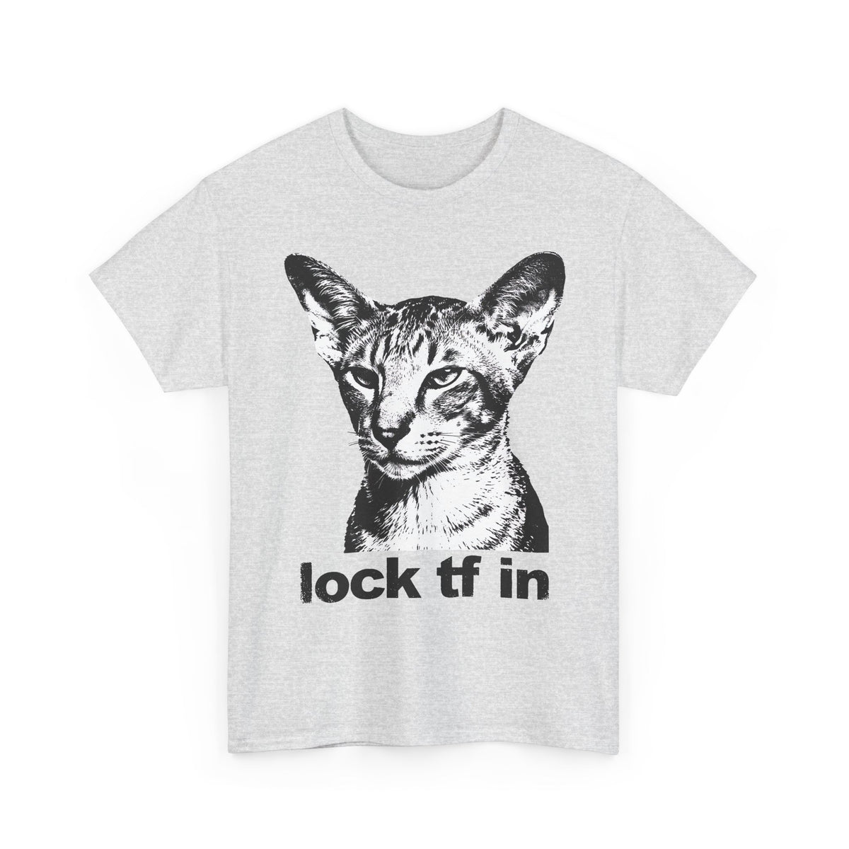 Cat Graphic Tee — "lock tf in" Retro Sphynx Illustration