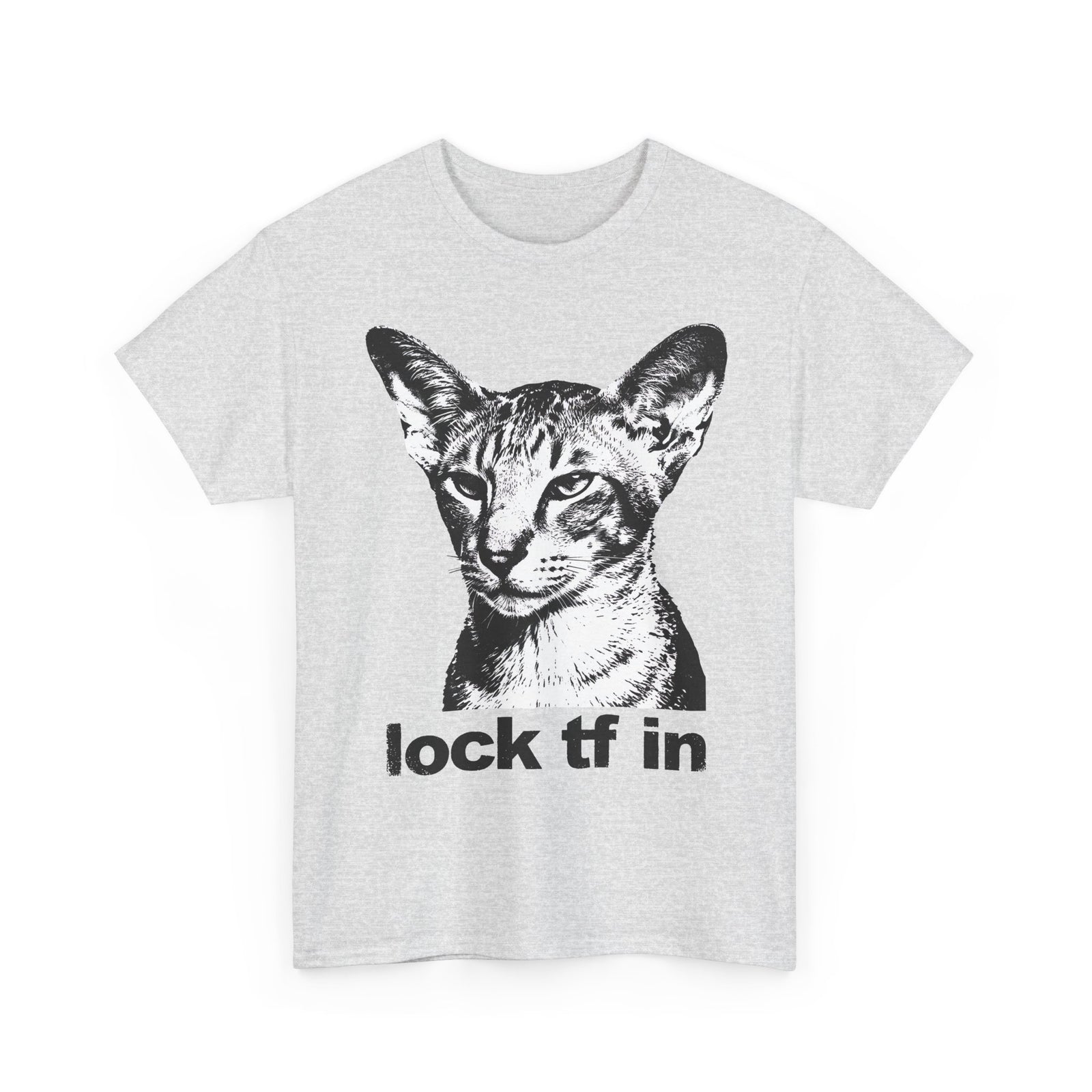 Cat Graphic Tee — "lock tf in" Retro Sphynx Illustration