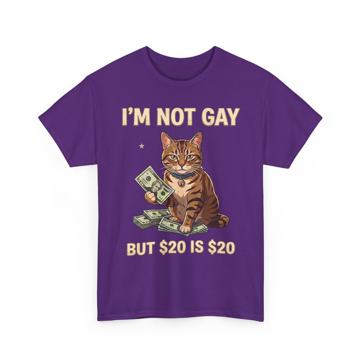 I'm Not Gay But $20 Is $20 T-Shirt — Funny Cat Cash Meme Tee