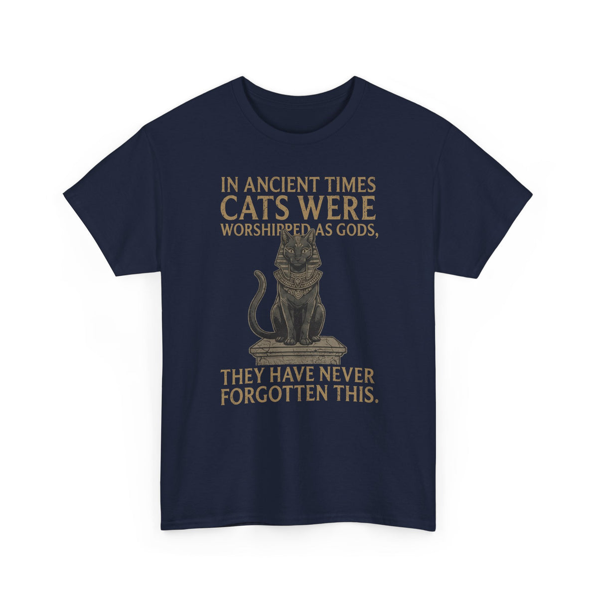 In Ancient Times Cats Were Worshipped Gods T-Shirt