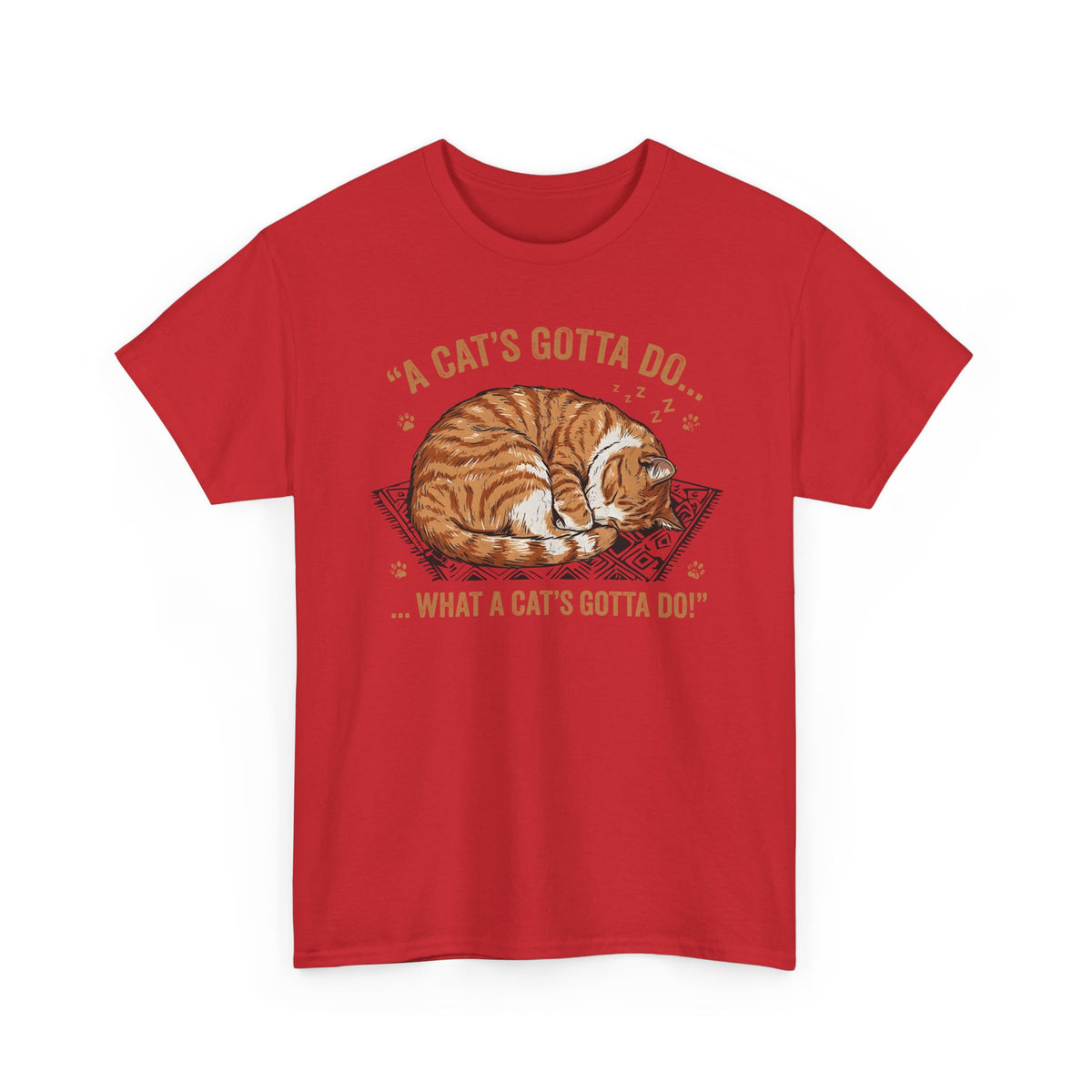 Cat Lover T-Shirt — Sleeping Cat Graphic Tee