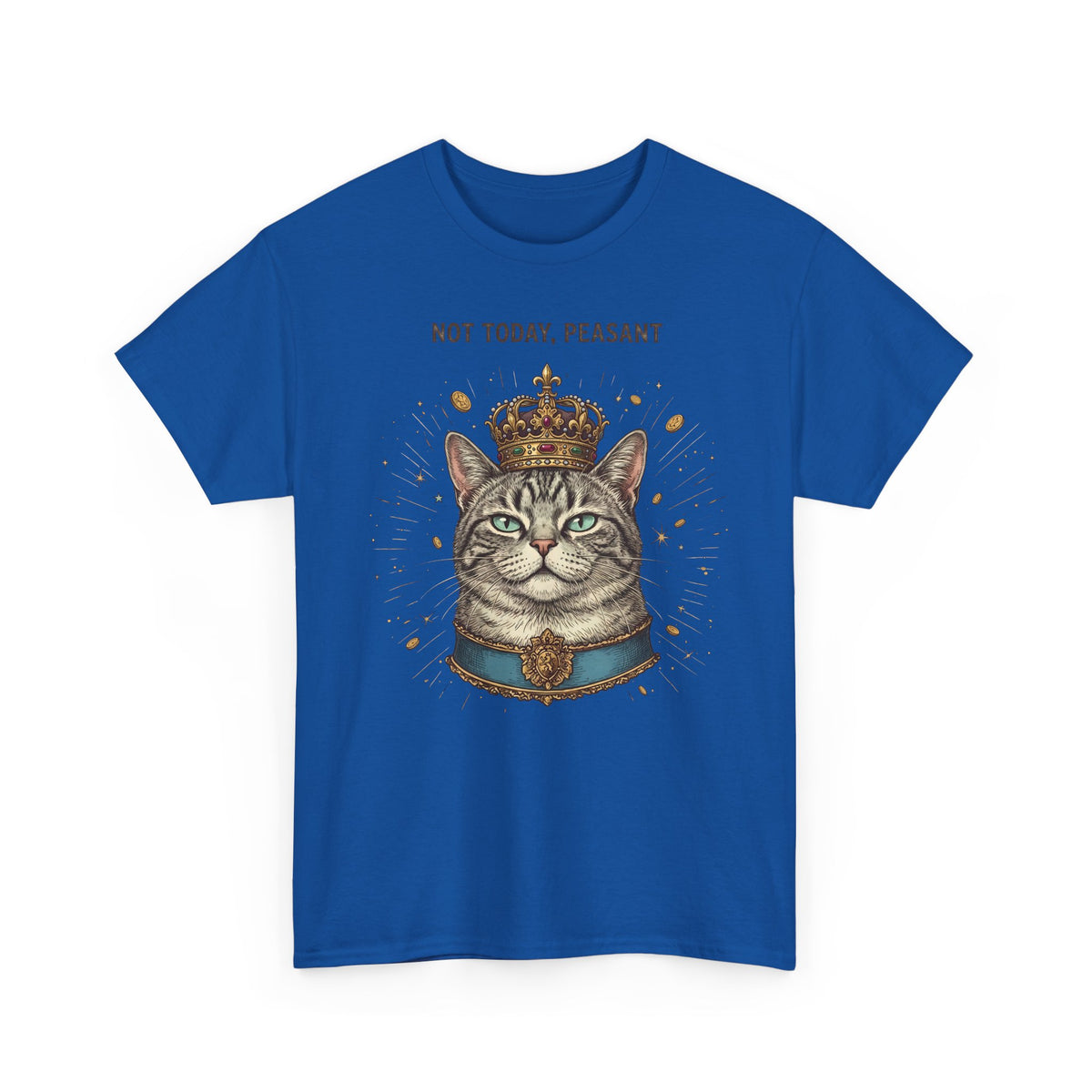 Funny Cat T-Shirt — "Not Today" Graphic Tee
