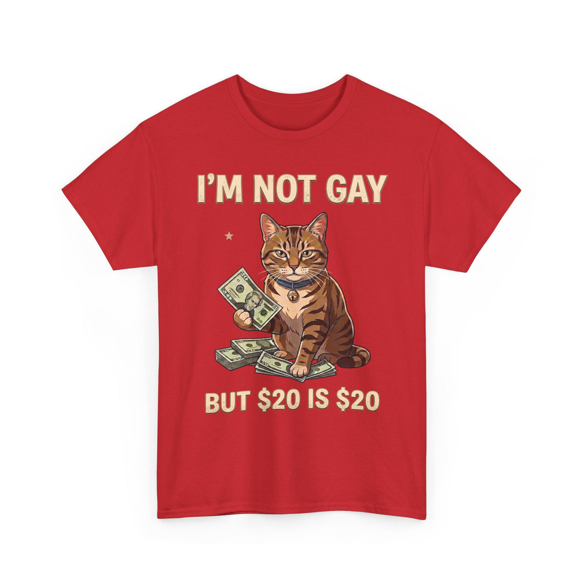 I'm Not Gay But $20 Is $20 T-Shirt — Funny Cat Cash Meme Tee