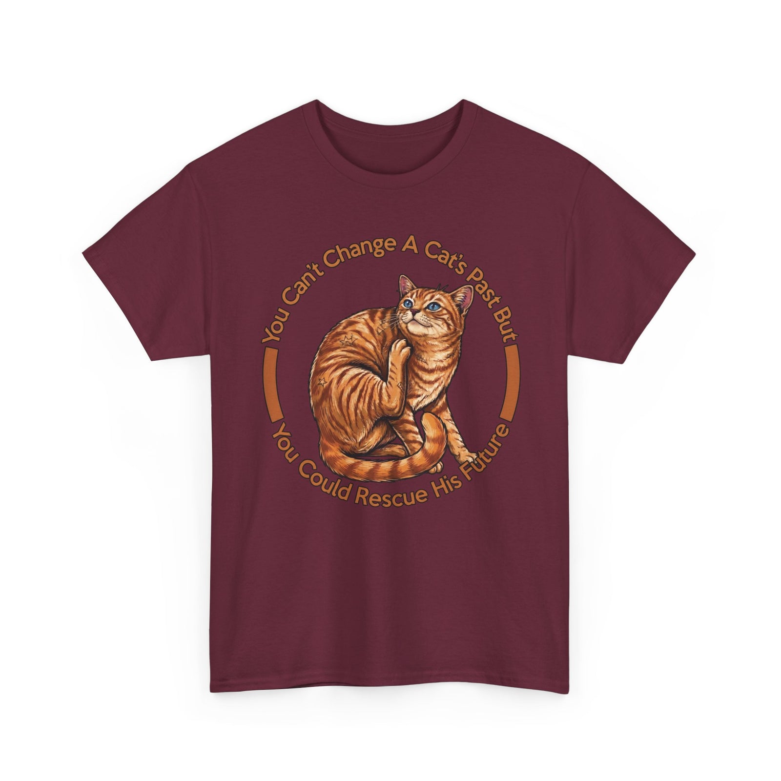 Rescue Cat T-Shirt — You Can't Change A Cat's Past Adoption Tee