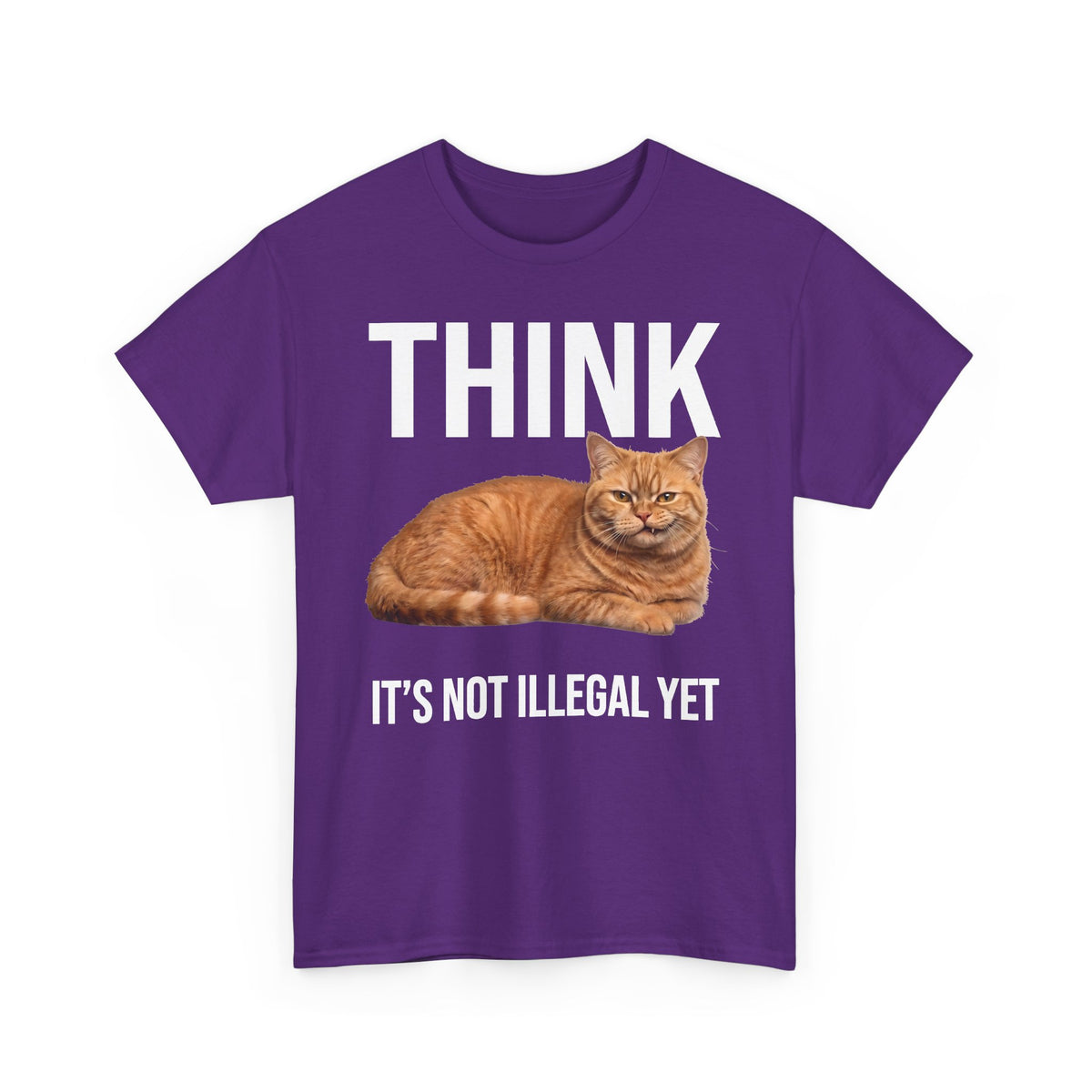 Think It's Not Illegal Yet T-Shirt — Funny Orange Cat Sarcastic Tee