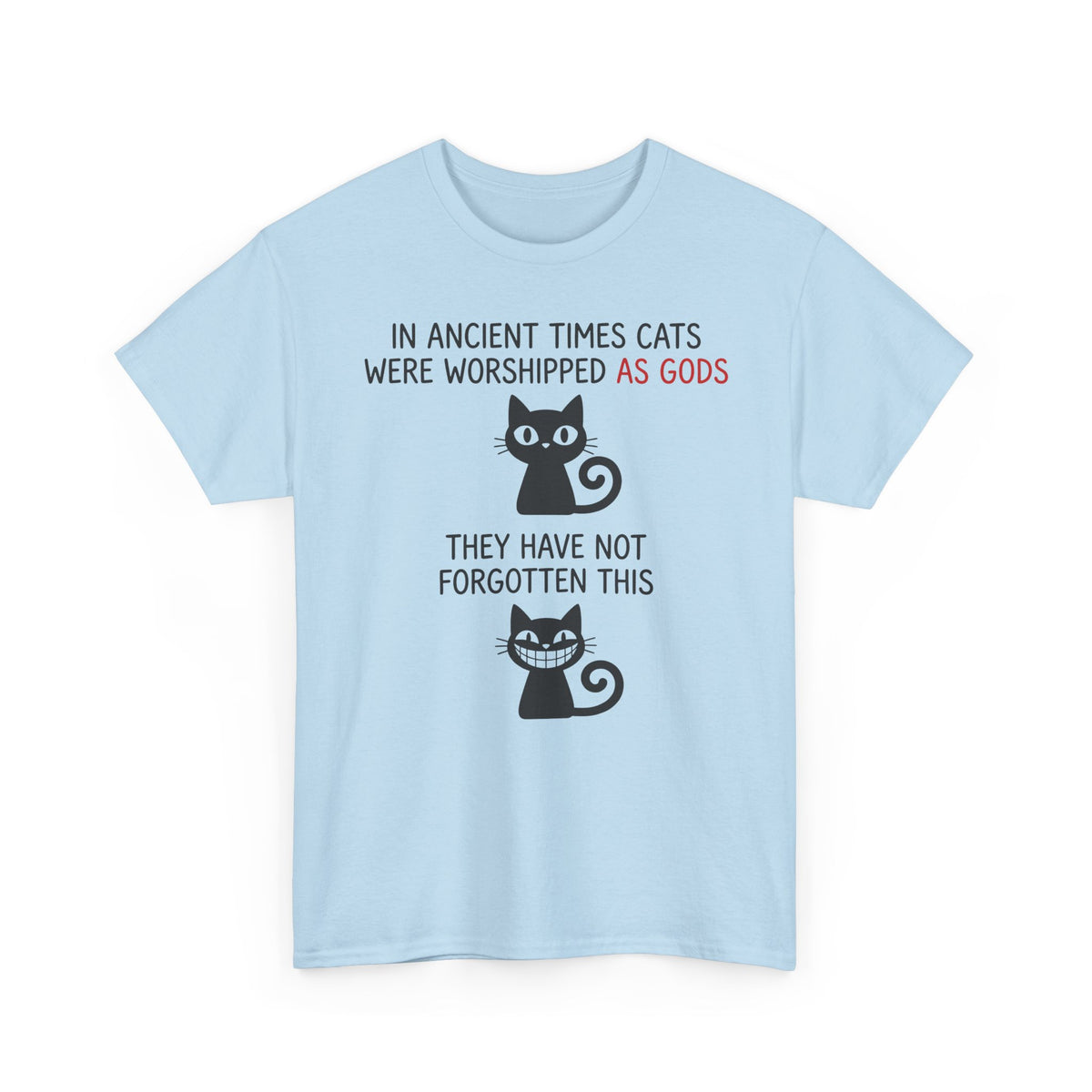 Cat Gods T-Shirt — "In Ancient Times Cats Were Worshipped As Gods" Funny Cat Tee
