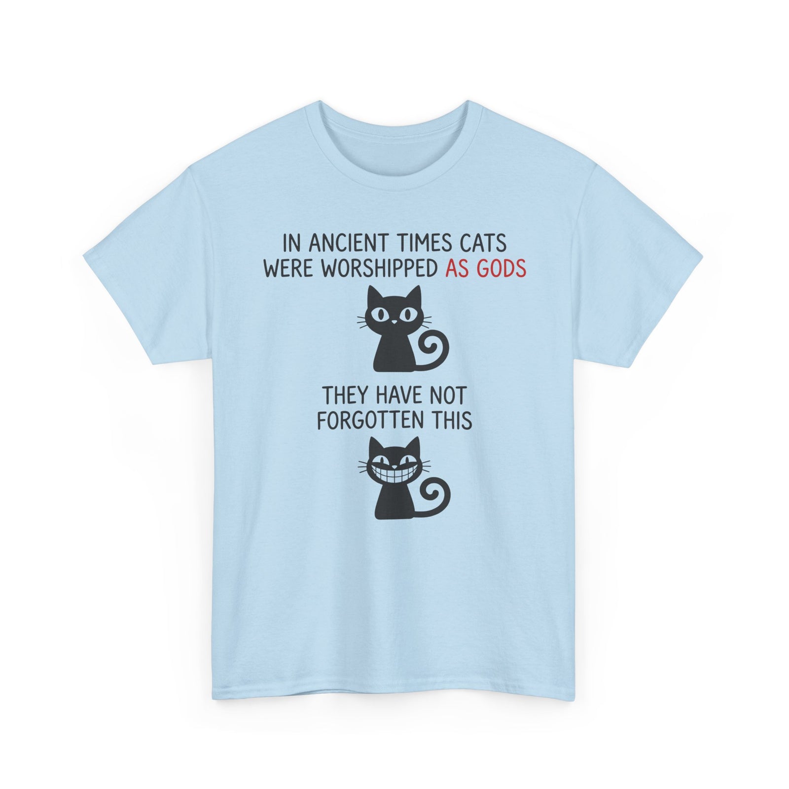 Cat Gods T-Shirt — "In Ancient Times Cats Were Worshipped As Gods" Funny Cat Tee