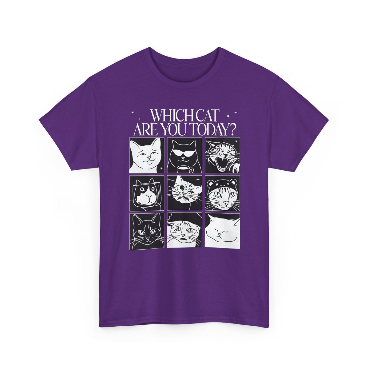 Which Cat You Choose Today T-Shirt — Playful Cat Lover Graphic Tee