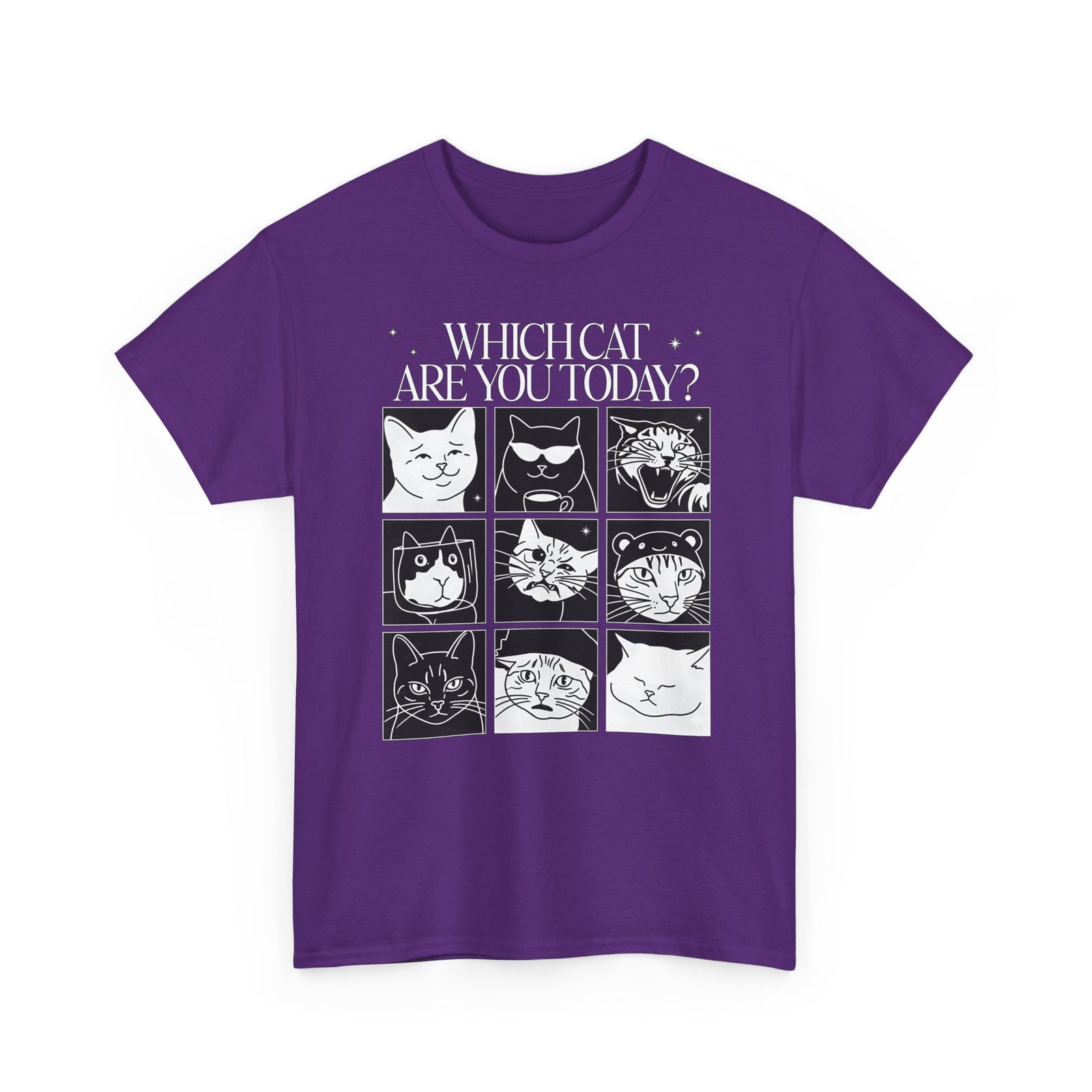 Which Cat You Choose Today T-Shirt — Playful Cat Lover Graphic Tee