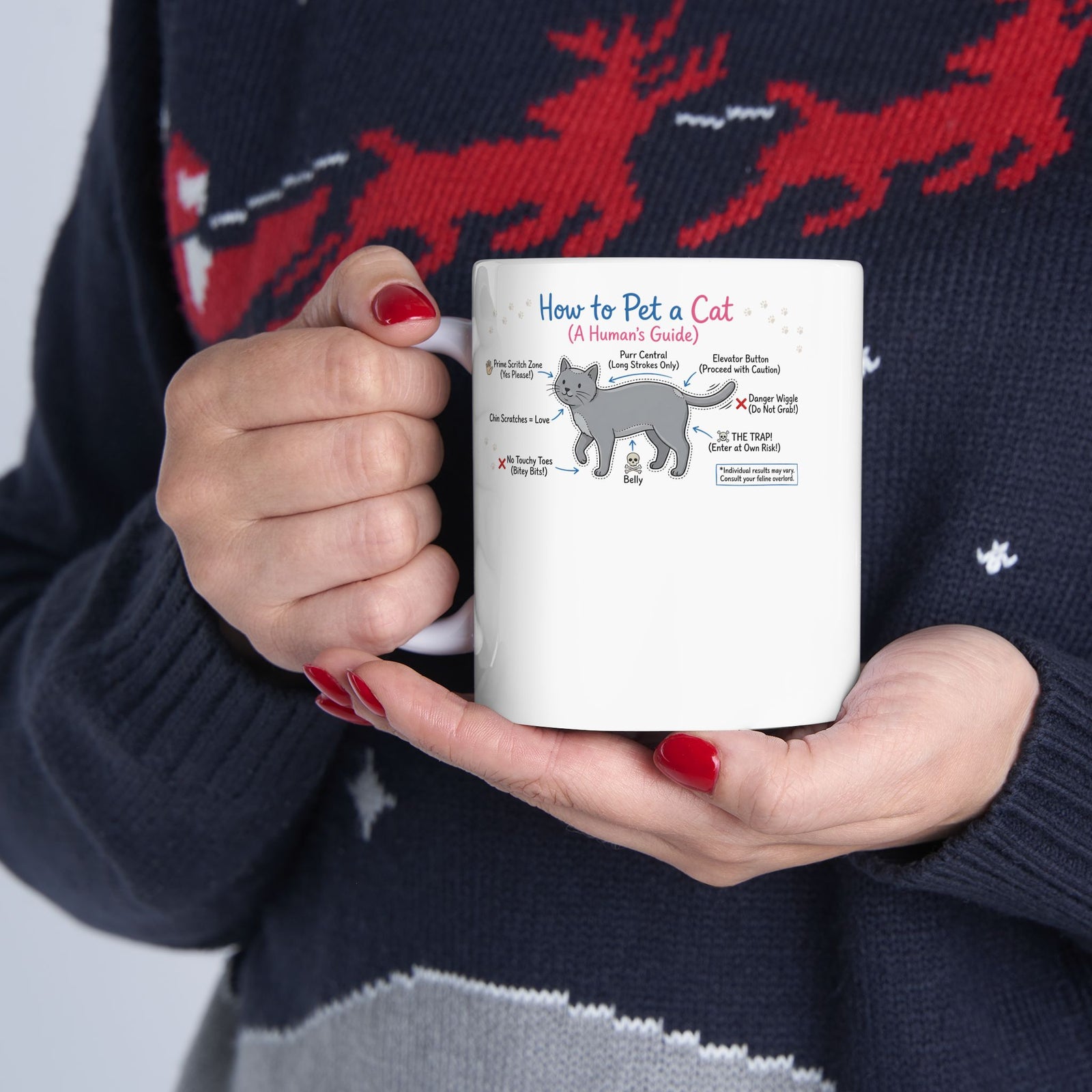 How To Pet A Cat Ceramic Mug — Funny Cat Care Mug for Cat Lovers