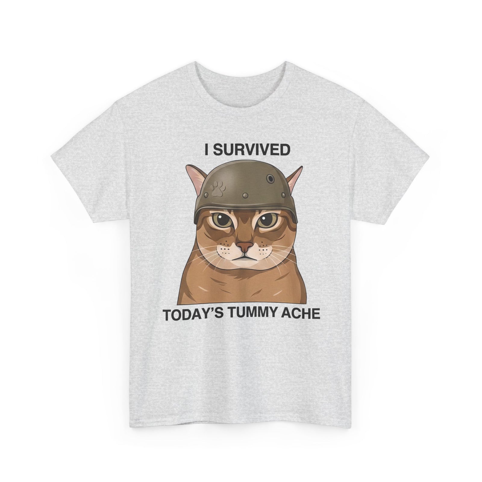 I Survived Today's Tummy Ache T-Shirt — Funny Novelty Tee for Moms, Kids & Caregivers