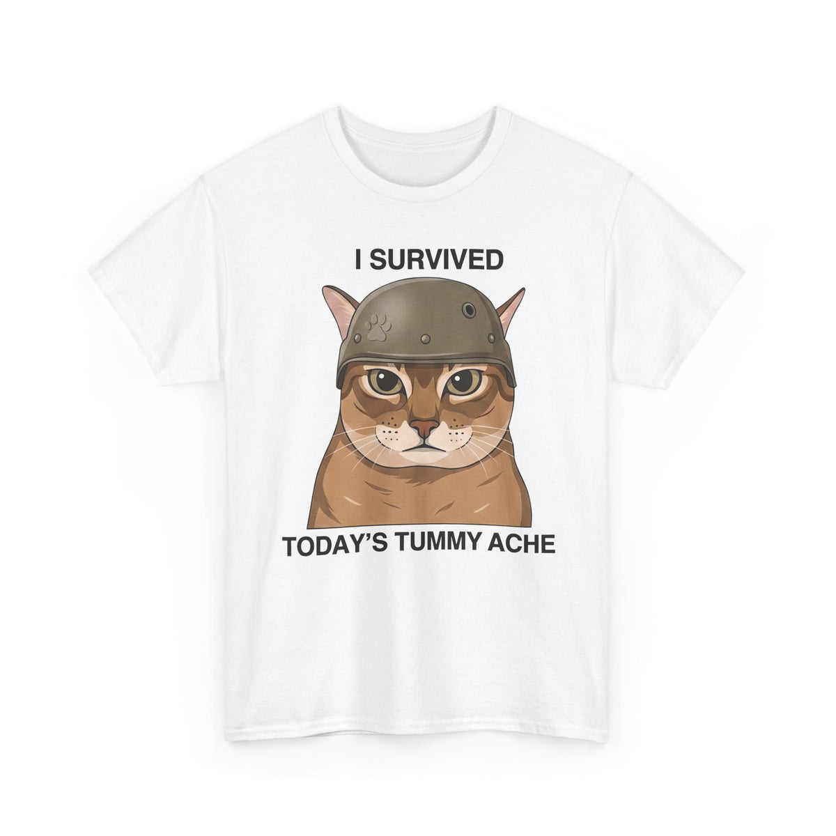 I Survived Today's Tummy Ache T-Shirt — Funny Novelty Tee for Moms, Kids &amp; Caregivers