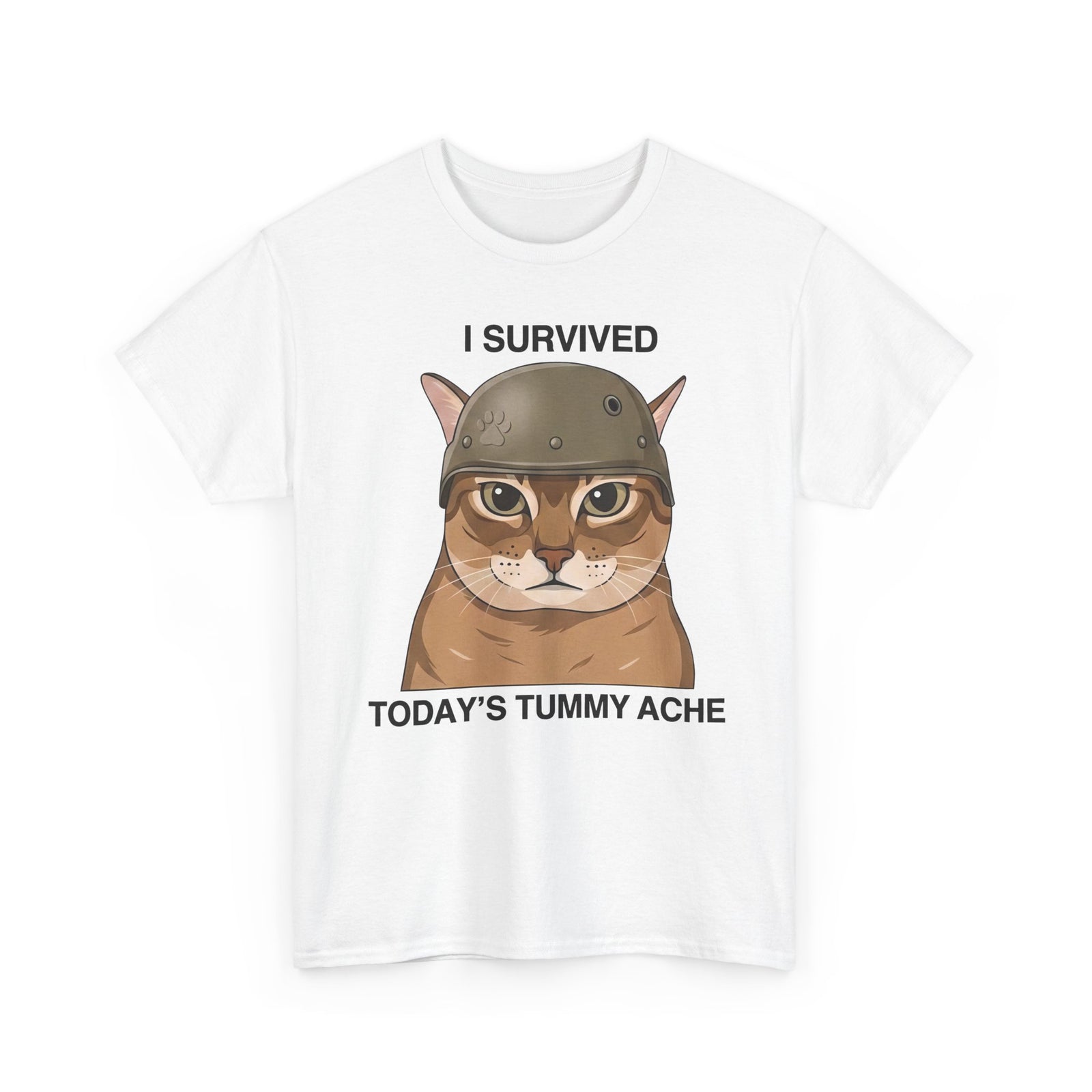 I Survived Today's Tummy Ache T-Shirt — Funny Novelty Tee for Moms, Kids & Caregivers