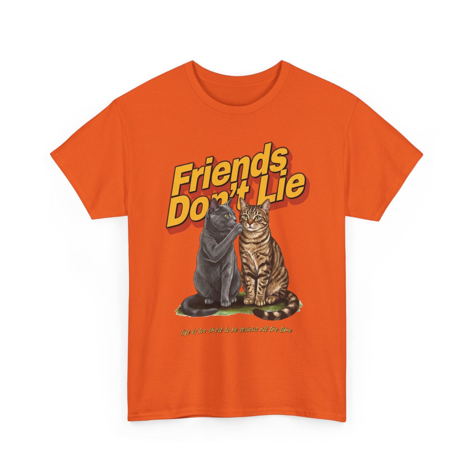 Friends Don't Lie Cat T-Shirt — Funny Cat Gossip Apparel