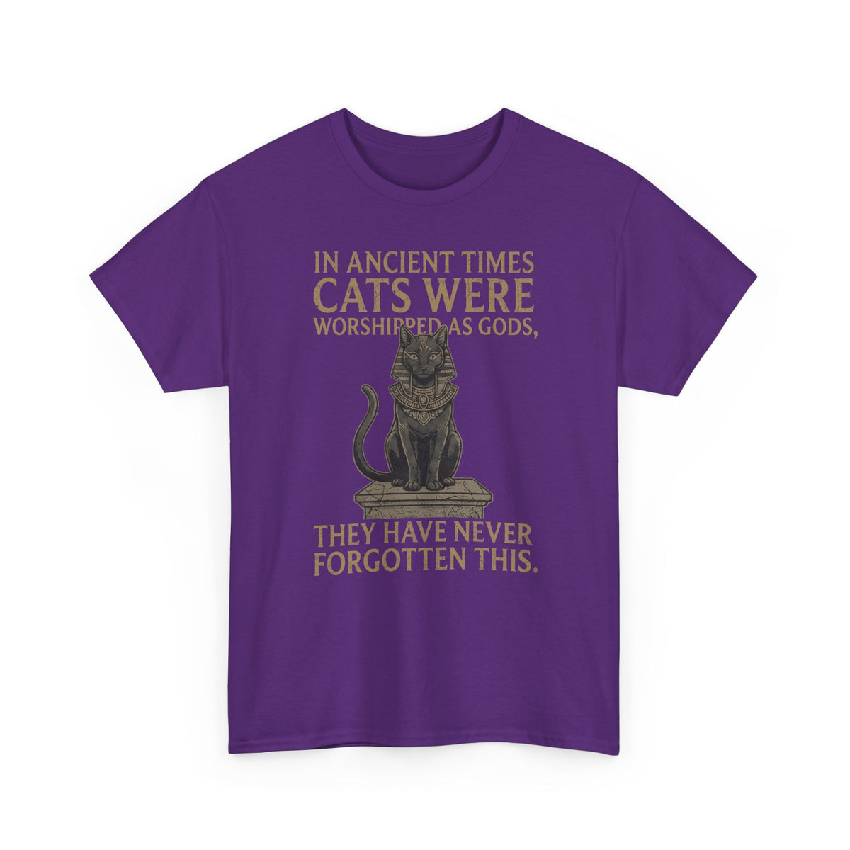 In Ancient Times Cats Were Worshipped Gods T-Shirt