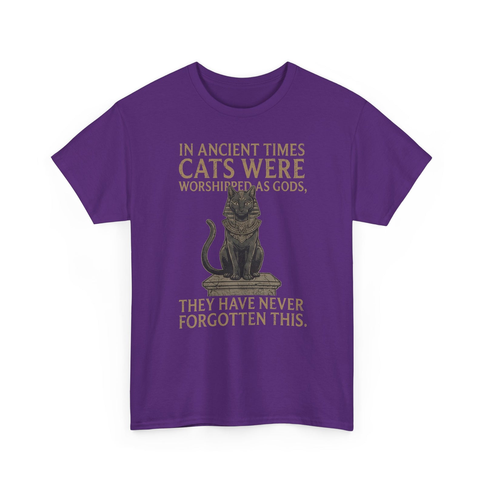 In Ancient Times Cats Were Worshipped Gods T-Shirt