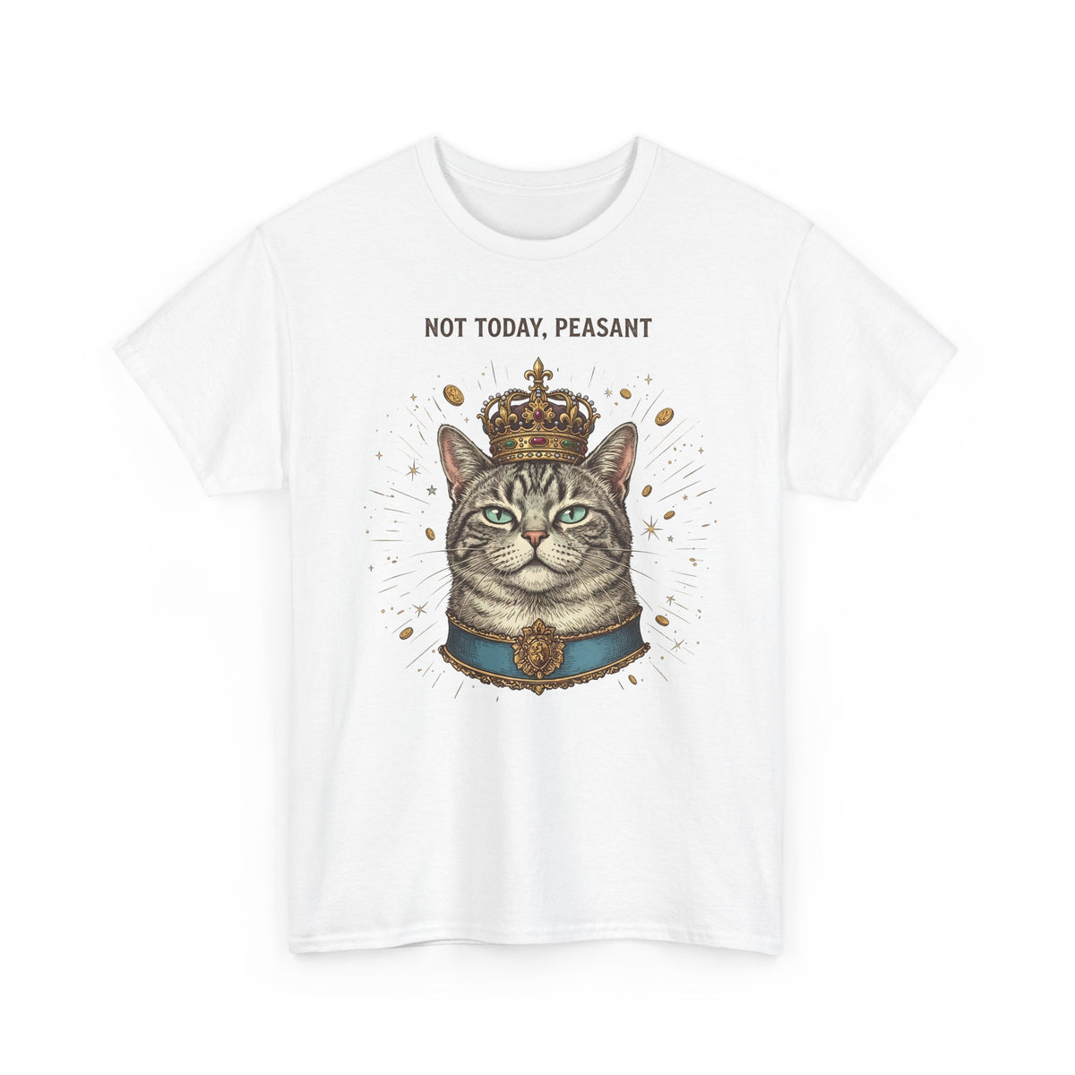 Funny Cat T-Shirt — "Not Today" Graphic Tee